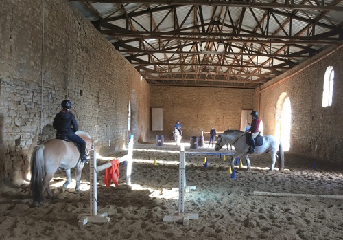 Working equitation Kurs 31.10.2023